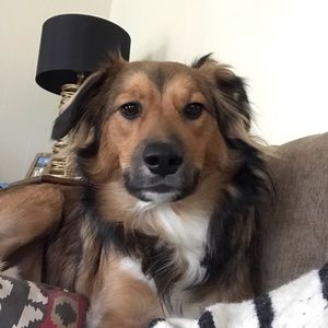 Meet your Posher, Meredith